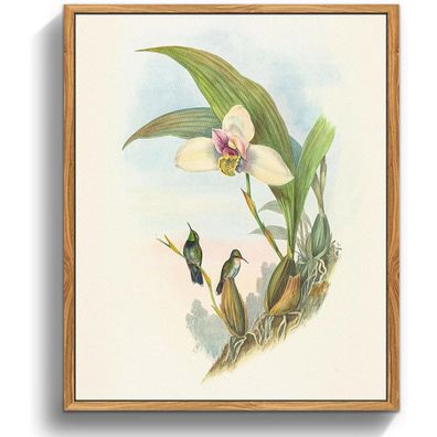 Vintage Vogel Leinwand Bilder 30x40 cm mit Holzrahmen - Wandbilder Wohnzimmer