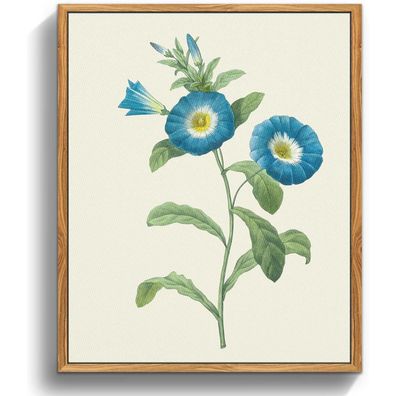 Vintage Insekten Leinwand Bild mit Rahmen Holz 30x40 cm Wandbild Wohnzimmer