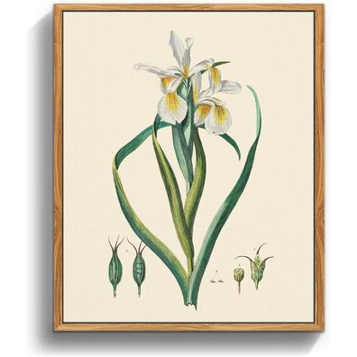 Vintage Botanische Leinwandbilder mit Holzrahmen 20x25cm Wandbilder Wohnzimmer