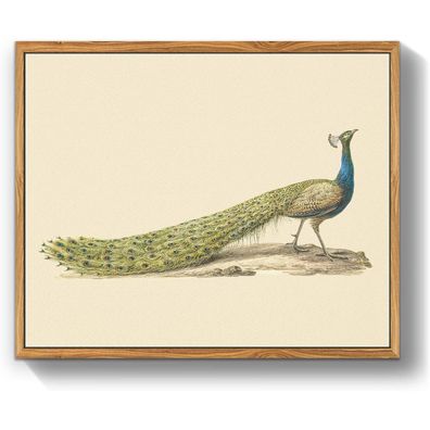 Vintage Vogel Leinwandbild mit Holzrahmen 30x40cm Wanddekoration Blauer Pfau