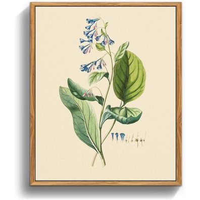 Vintage Botanische Leinwand Bilder mit Holzrahmen 20x25 cm Wohnzimmer Büro