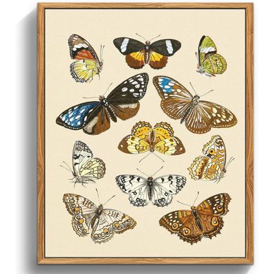 Vintage Insekten Leinwandbilder Holzrahmen 40x60cm Wohnzimmer Wanddeko