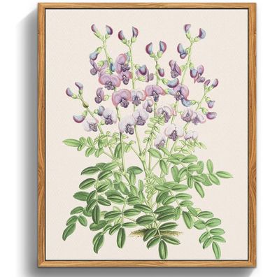 Vintage Botanische Leinwandbilder mit Holzrahmen 20x25cm Wohnzimmer Büro Deko