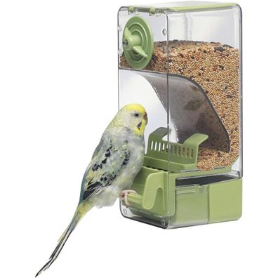 Automatischer Vogelfutterspender für Wellensittiche & Co. Green