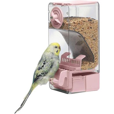 Automatischer Vogelfutterspender mit Sitzstange für Vögel