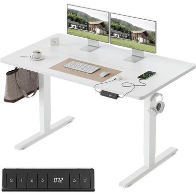 FEZIBO Elektrischer Schreibtisch 120x60cm Höhenverstellbar Stehpult