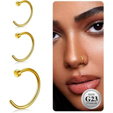 Eshioner G23 Titan Fake Nasenpiercing Set 3PCS 6MM/8MM/10MM Schwarz Gold Silber