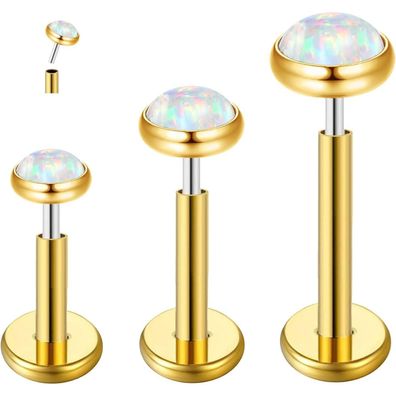 G23 Titan Piercing Ohr Helix Tragus Bar 16g Silber Gold hypoallergen