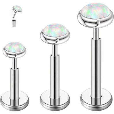 G23 Titan Piercing Ohr Helix Labret Lippe Tragus Bar 16g Push In Studs