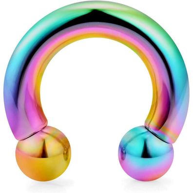Regenbogen Hufeisen Circular Barbell Ring 316L Chirurgenstahl Piercing Schmuck