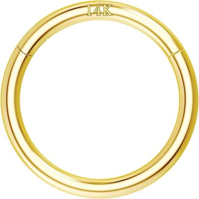 14K Solid Gold Hinged Clicker Segment Ring Nose Hoop Earring