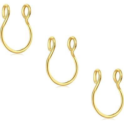 3Pcs Fake Nase Ringe Chirurgenstahl Faux Lip Septum Hoop Clip Set Piercing