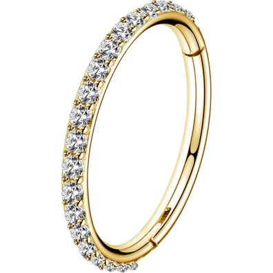 OUFER 18G 1mm Segment Ring aus 316L Edelstahl mit Zirkonia für Helix, Daith