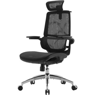 Ergonomischer Bürostuhl 3D Armlehnen Doppelsitzlehnen Mesh Schwarz