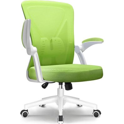Ergonomischer Bürostuhl mit Lendenwirbelstütze, Testsieger, Grüner Drehstuhl