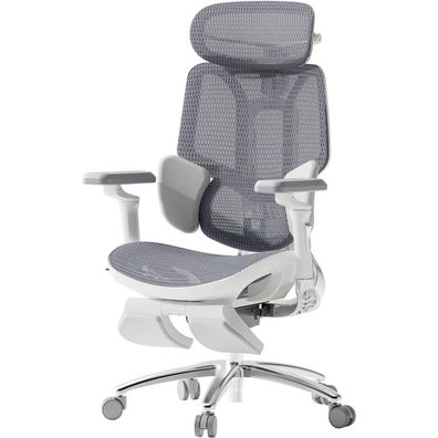 Ergonomischer Bürostuhl Hbada E3 Ultra mit 3-Zonen-Lendenstütze und
