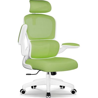 Ergonomischer Bürostuhl mit Lendenwirbelstütze, Armlehnen, Wippfunktion bis