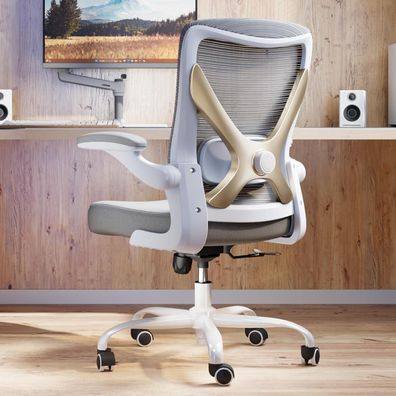 Ergonomischer Bürostuhl Gaming Stuhl mit Lendenwirbelstütze Grau