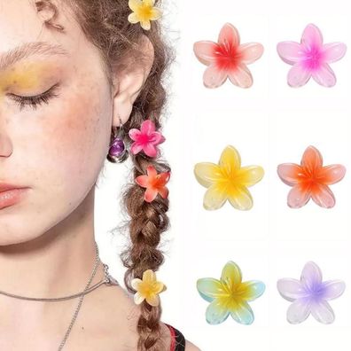 6 Stück Blumen Haarklammern Acryl Clips 4cm rutschfeste Jaw für Frauen Mädchen