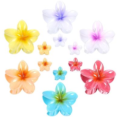 12er Set Kunststoff Blumen Haarklammer Mehrfarbig Acryl Haarspange
