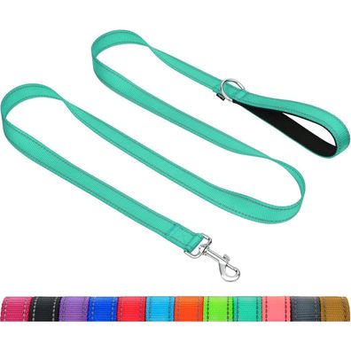 Taglory Hundeleine für mittelgroße bis große Hunde, 1.2m x 2.5cm, Türkis