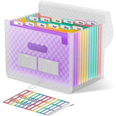 ThinkTex Accordian Aktenordner, erweiterbar, 12 Fächer, A4, Orange Lila