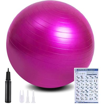 flintronic Gymnastikball 65cm Rosa | Anti-Burst Yoga, Pilates, Fitness Ball mit