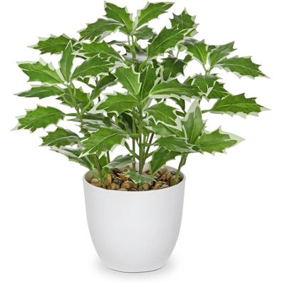 Briful Kunstpflanze Ficus, Künstliche Dekopflanze im Topf, Grün & Weiß, 25 cm