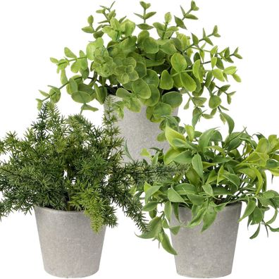 Briful 3er Set Mini Kunstpflanzen Eukalyptus Rosmarin Kräuter im Zementtopf