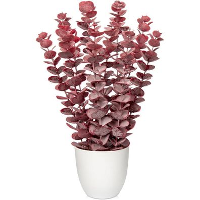 Briful Kunstpflanze Eukalyptus Rot, Künstliche Pflanze Wie Echt, Zimmerpflanze