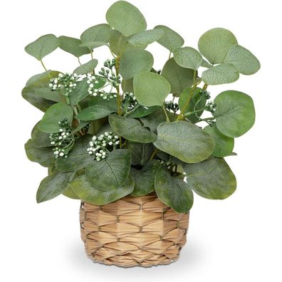 Briful Kunstpflanze Eukalyptus Deko, Künstliche Eukalyptus im Topf, Höhe 32 cm
