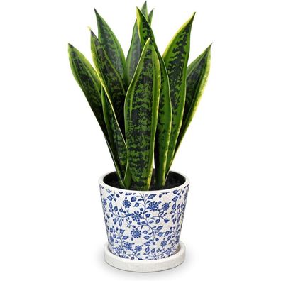 Briful Künstliche Sansevieria Zimmerpflanze im weißen Keramiktopf, Höhe 40.6cm