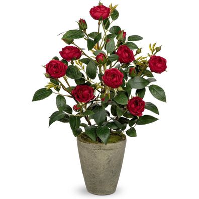 Briful Künstliche Rosen im Zementtopf, Deko Kunstblumen Rosenbusch, Höhe 38 cm