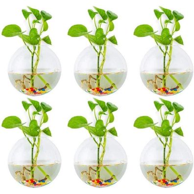 Glasseam Wandbehang Glas Pflanzgefäße, 6 Stück Sphärisch, Blumentöpfe Terrarium