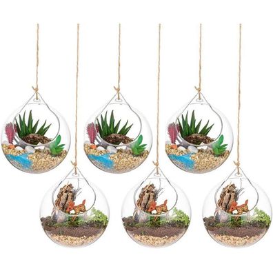 Glasseam Hängende Glaskugel Vase 6er Set, 10cm Durchmesser, für Sukkulenten und