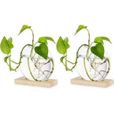 Glasseam 2er Set Tischvasen aus Glas mit Holzständer für Pflanzenstecklinge und