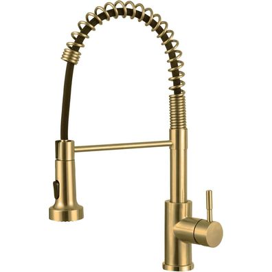 Hottist Wasserhahn Küche mit ausziehbarer Brause, 2 Modi, 360° drehbar