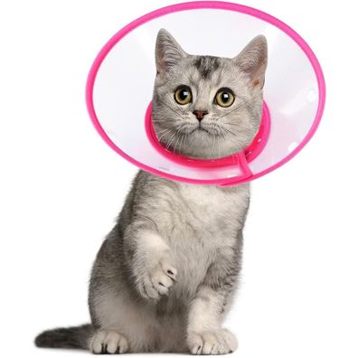 Vivifying Haustier Halskrause für Welpen, kleine Hunde und Katzen