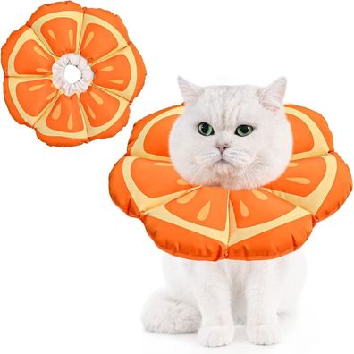 Avont Halskrause Katze L Mandarin - Verstellbarer, weicher Leckschutz Kragen