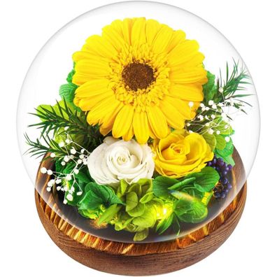 Touloube Ewige Sonnenblume im Glas - Romantisches Geschenk für Frauen, Mama