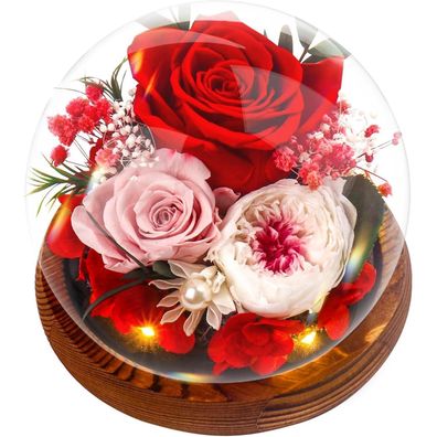 Touloube Ewige Rose im Glas - Romantisches Geschenk für Frauen, Muttertag