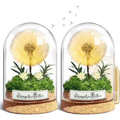 Wunscherfüller mit LED Licht, Echte Pusteblume im Glas, Ewiges