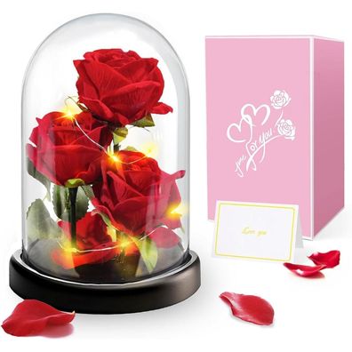 Touloube Ewige Rose im Glas mit Lichtern, 3 rote Rosen in Glaskuppel, Geschenk