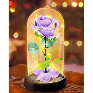 Touloube Ewige Rose im Glas, Lila Seidenrose in Glaskuppel, Geschenk für