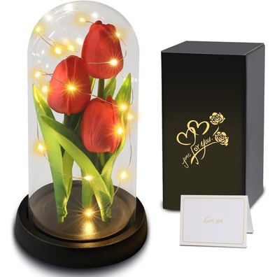 Touloube Ewige Tulpe in Glaskuppel - Romantisches Geschenk für Frauen