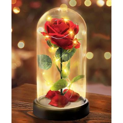 Touloube Ewige Rose im Glas mit LED-Lichtern, Rote Seidenrose, Geschenk für