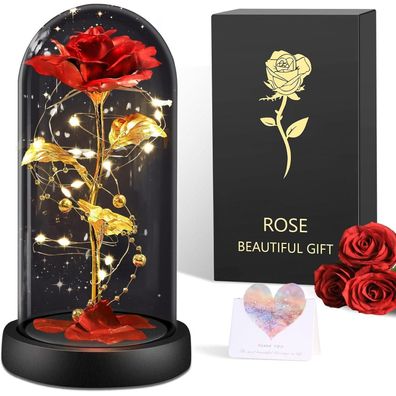 BOLEi Ewige Rose im Glas, Geschenk für Frauen, Mama, Freundin, Die Schöne und