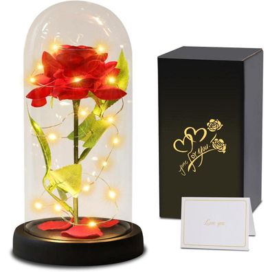 Touloube Ewige Rose im Glas, Die Schöne und das Biest Geschenk für Frauen
