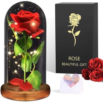 BOLEi Ewige Rose im Glas - Romantisches Geschenk für Frauen und Freundinnen