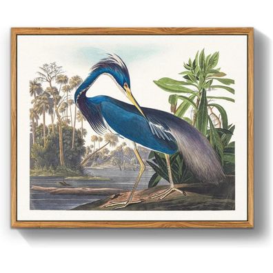 MHARTK66 Vintage Vogel Leinwand Bild mit Holzrahmen 30x40 cm, Blauer